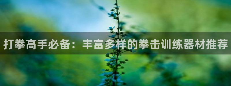 NG大舞台官网下载招商电话号码查询:打拳高手必备:丰富多样的