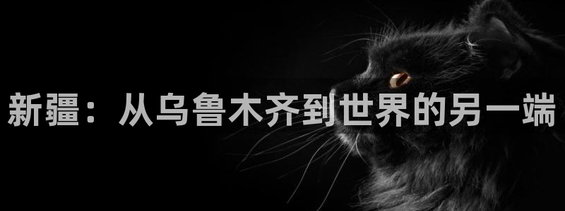 注册NG大舞台官方正版app：新疆：从乌鲁木齐到世界